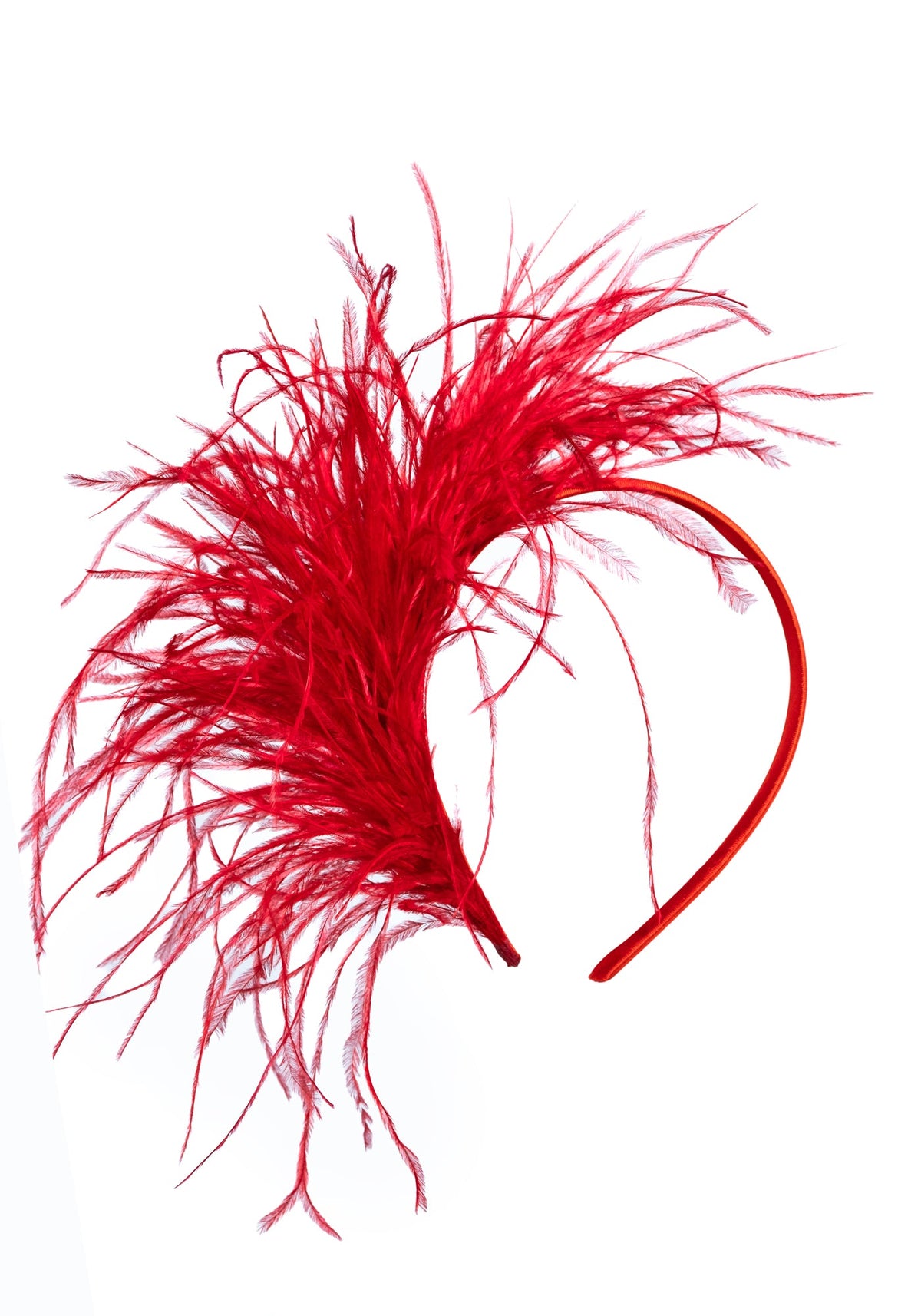 SHAGGY RED CROWN